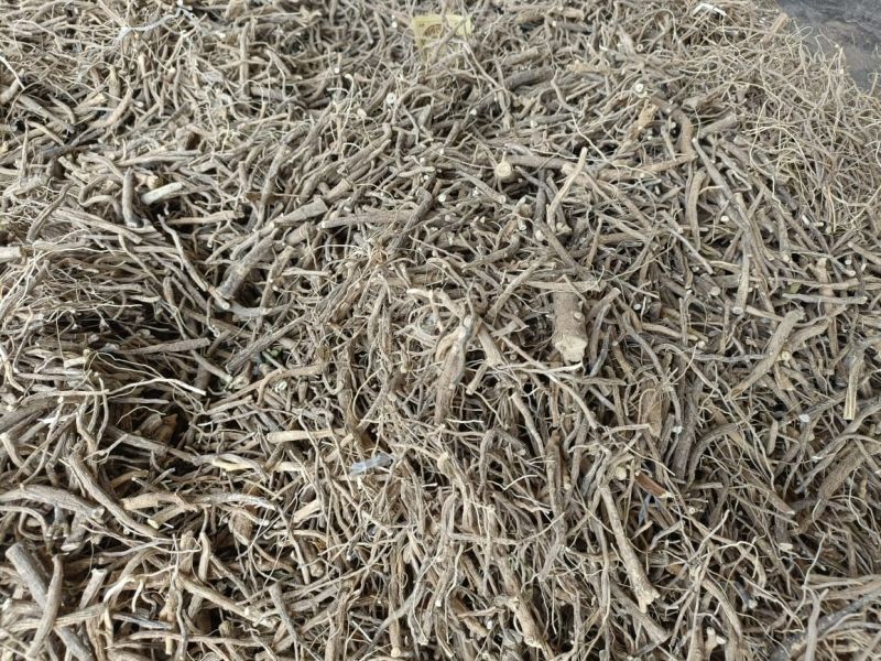ashwagandha roots