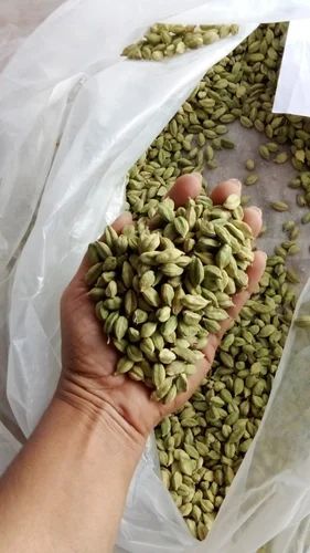 Green Cardamom