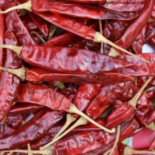 Teja Dry Red Chilli