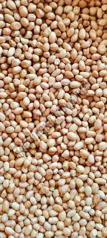 80 & 90 Grade Groundnut Seeds