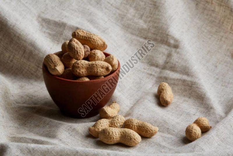 Raw Shell Peanut