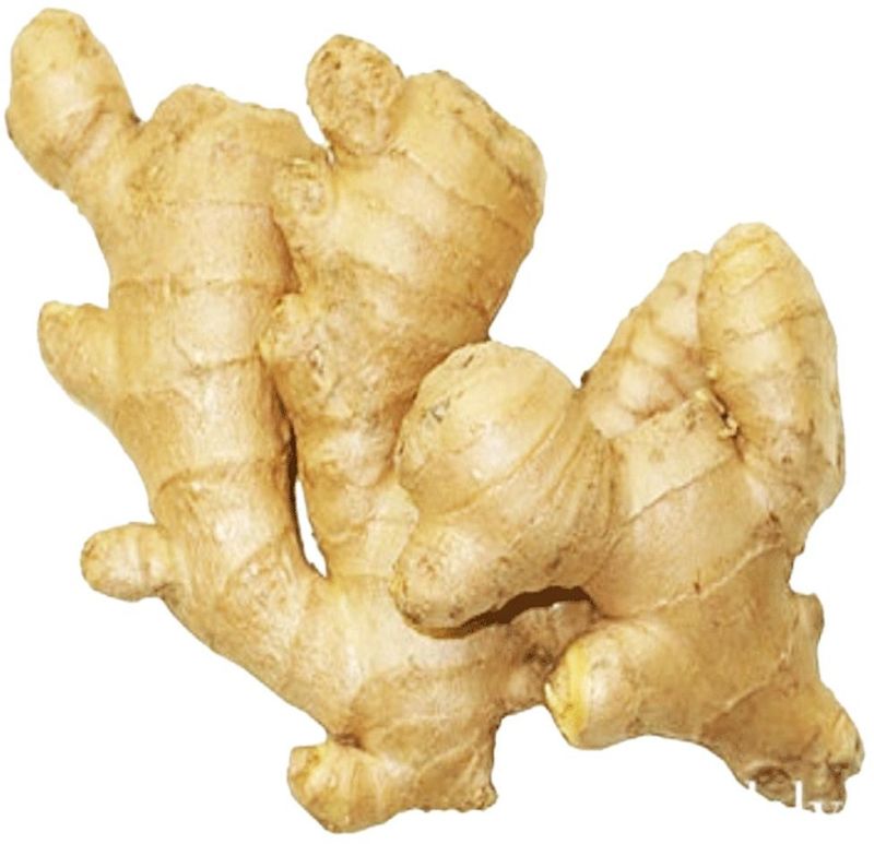 fresh ginger