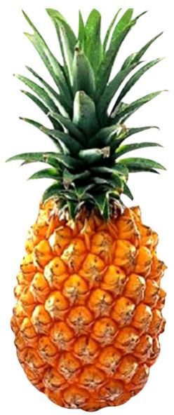 fresh pineapple