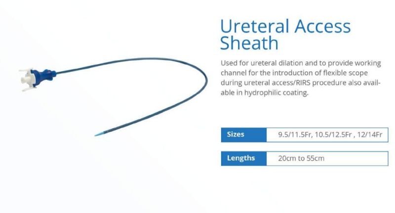 Urology Ureteral Access Sheath