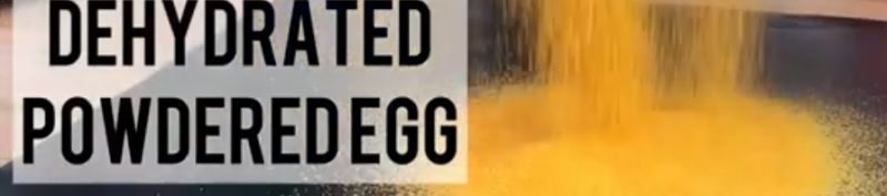 egg powder