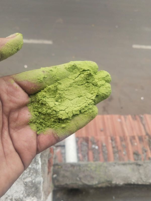 organic moringa powder
