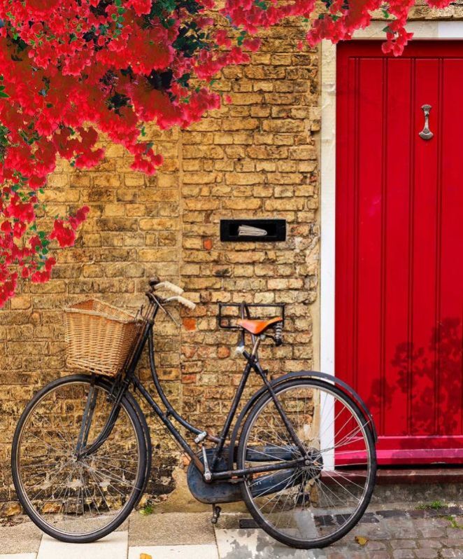 Bohemian Beautiful-Ride Wallpaper