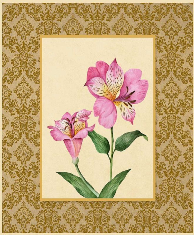 Bohemian Pink-Nectar Wallpaper