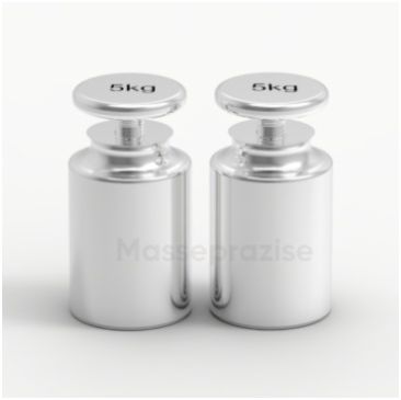 F2 Class Weight Of Oiml R111 5 Kg