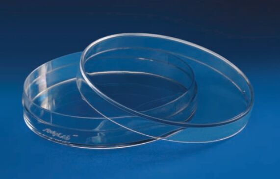 Petri Dishes Culture