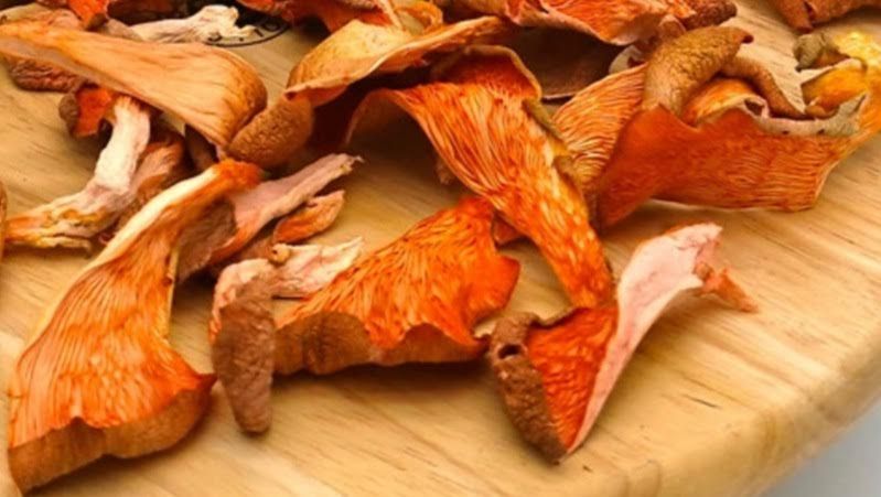 Sun Dried Pink Oyster Mushroom