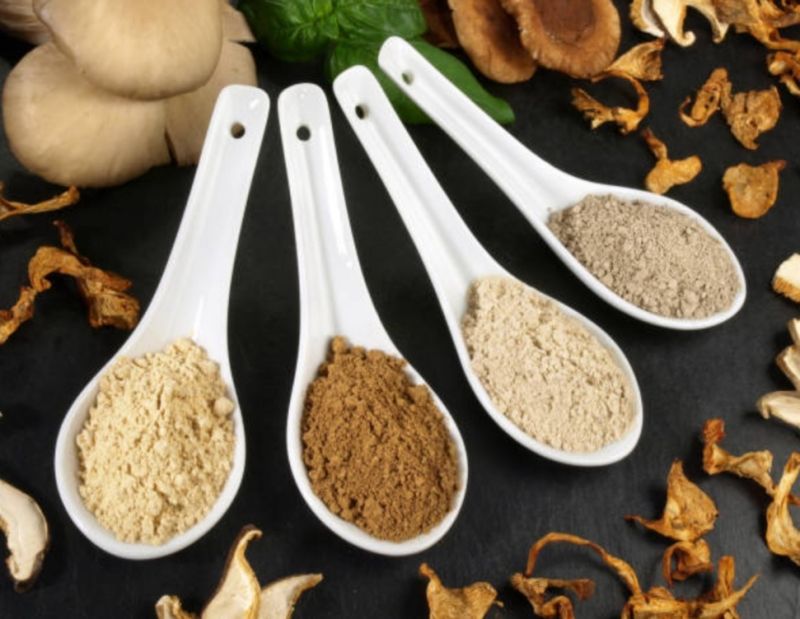 Mushroom Powder