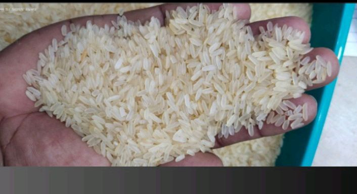 Medium Grain Non Basmati Rice