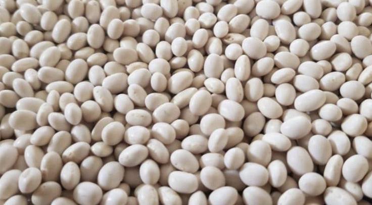 White Pea Beans