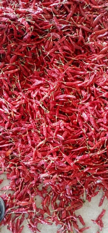 Dry Red Chili