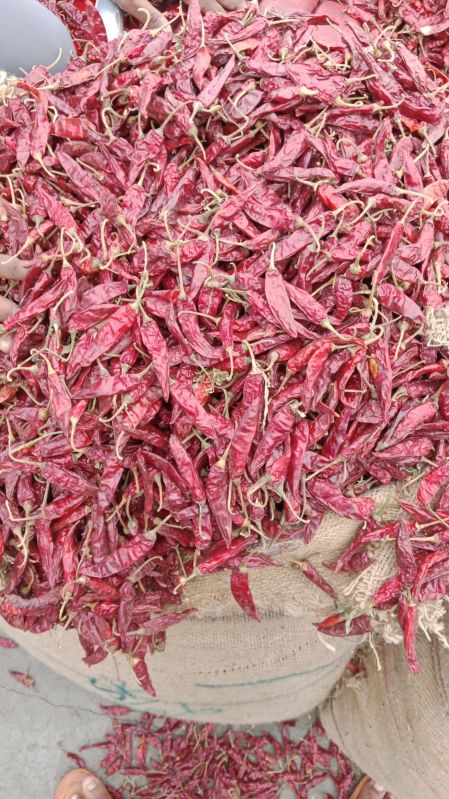 Dry Red Chili