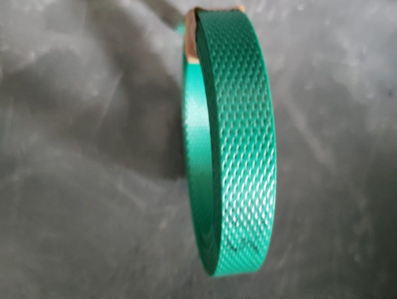 Plastic Packaging Strip