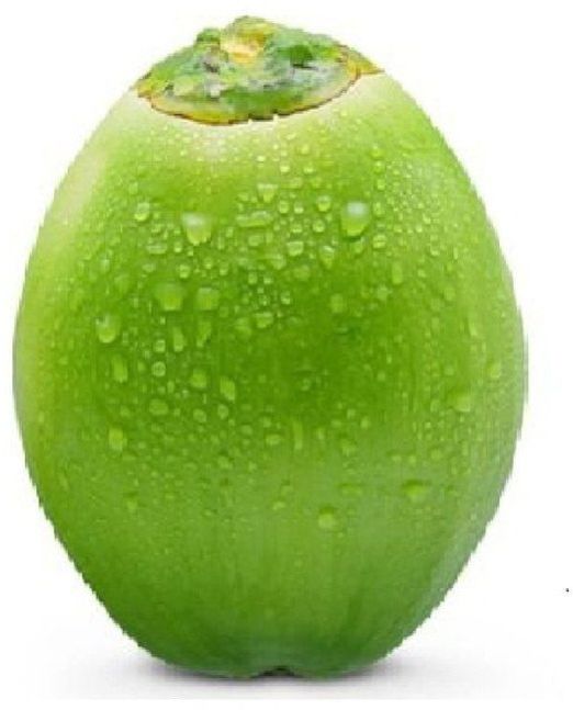 Andhra Pradesh Tender Coconut