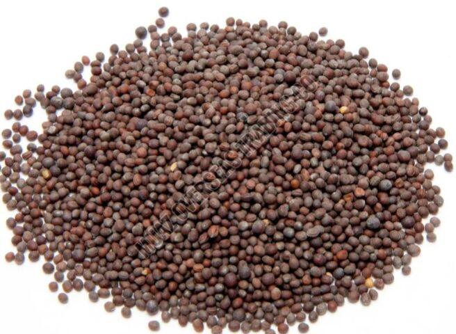 Black Mustard Seeds