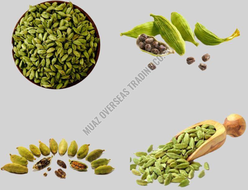 green cardamom