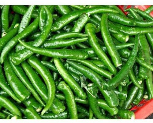 A Grade Green Chilli