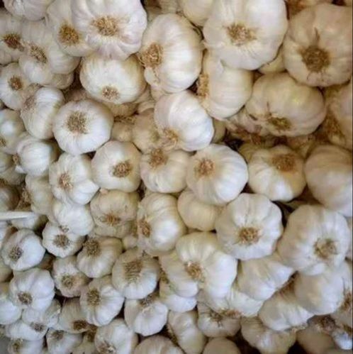 Natural Desi Garlic