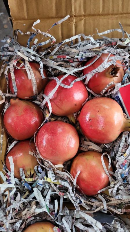 Fresh Pomegranate