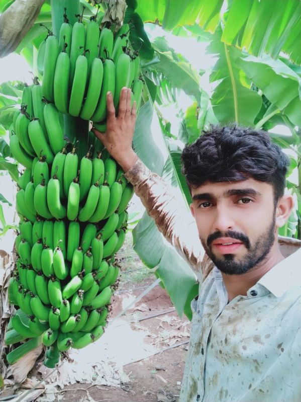 Fresh Raw Green Banana