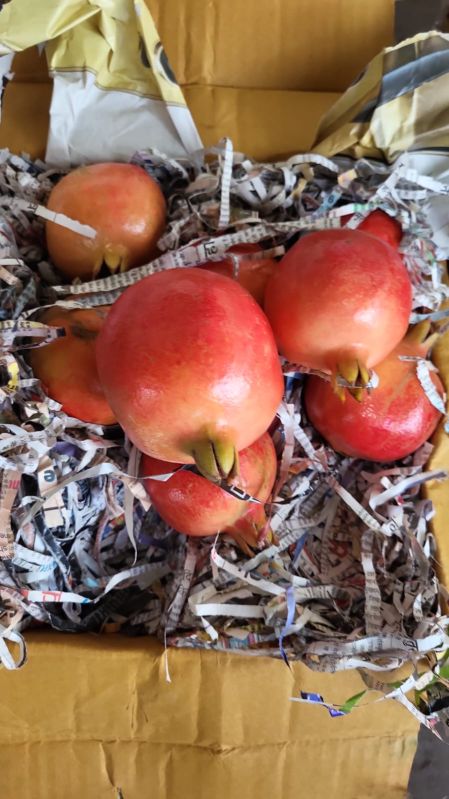 Fresh Pomegranate