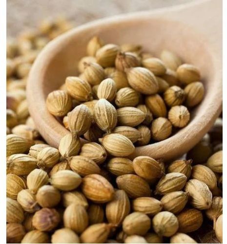 Coriander Seeds