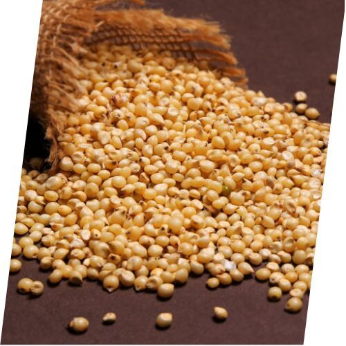 sorghum millet