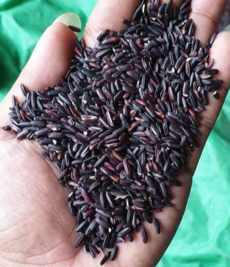 Organic Black Rice