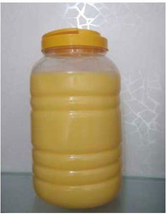 5kg Shivam Gold Desi Ghee
