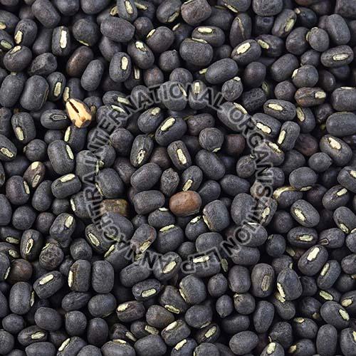 Whole Urad Dal