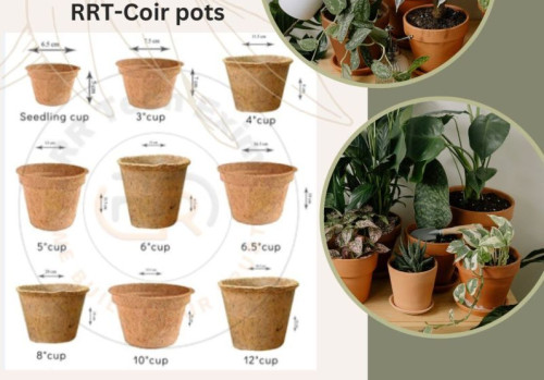 Coir Seeding Pots