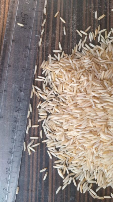 Basmati 1509 Chappi Rice