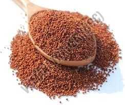 finger millet seeds