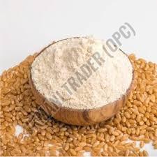 whole wheat flour