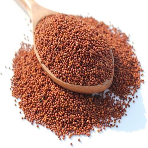 finger millet seeds