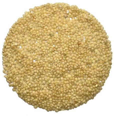 Foxtail Millet Seeds