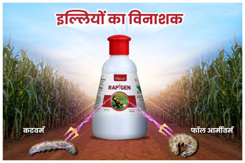 AgroStar Rapigen Insecticide 150ml