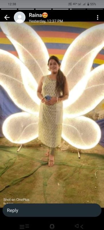 Selfie Metal Butterfly