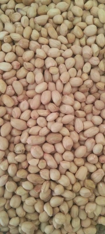 Raw Groundnuts