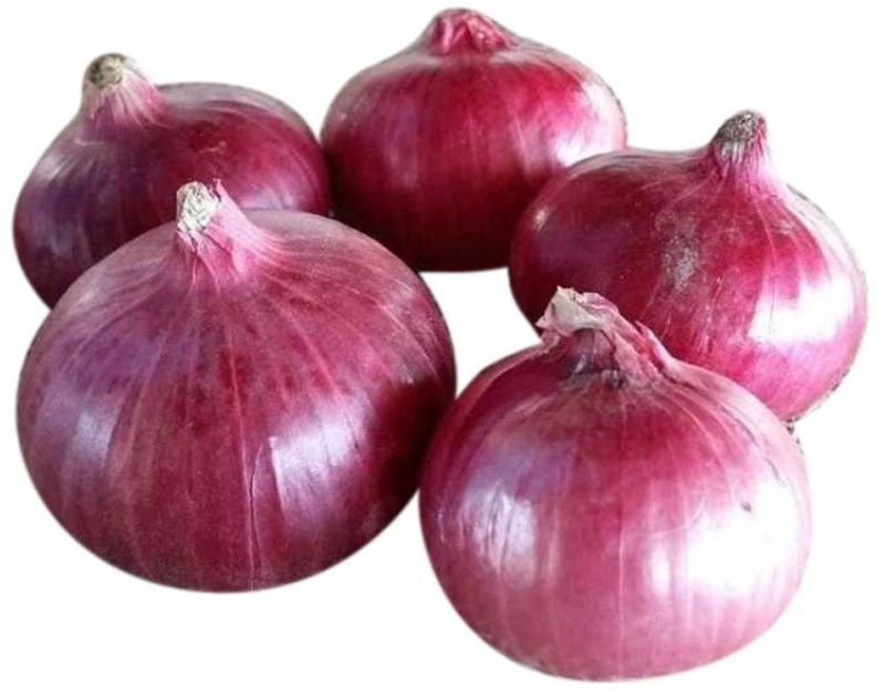 A Grade Pink Onion