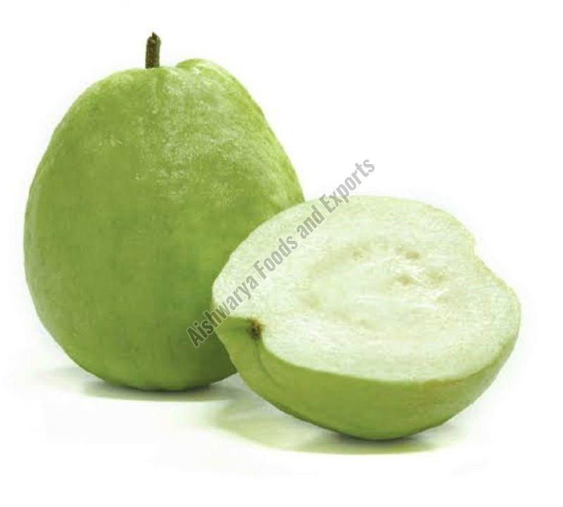 A Grade Fresh Green Guava