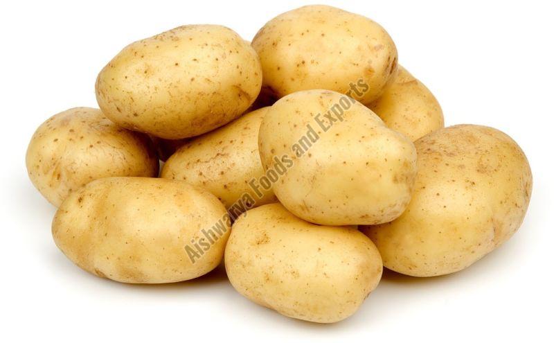 A Grade Fresh Potato