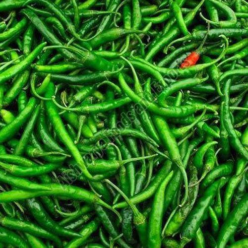 Indian Green Chilli