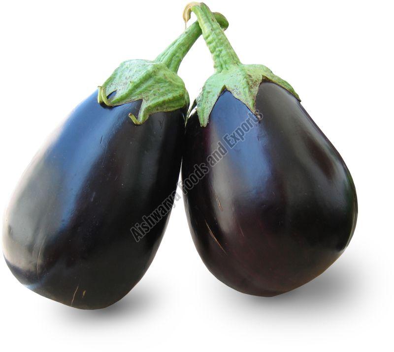 Natrual Fresh Brinjal