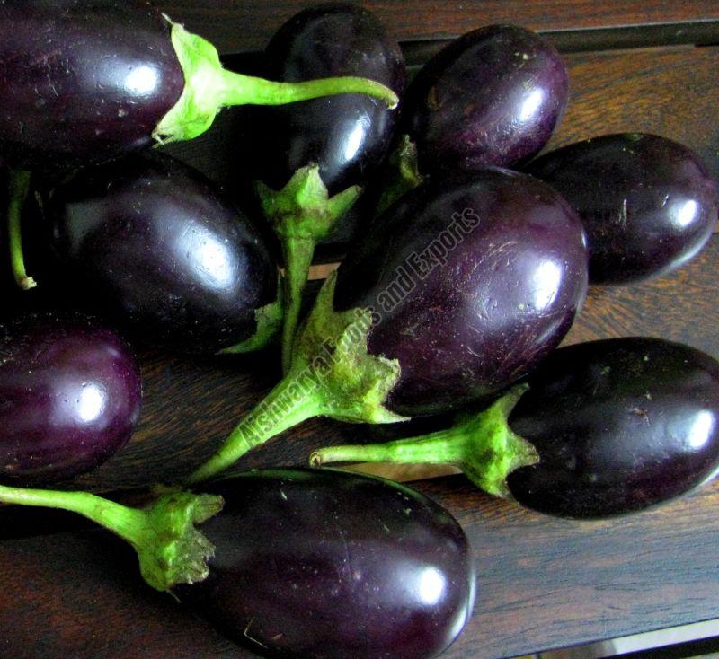 Organic Fresh Brinjal