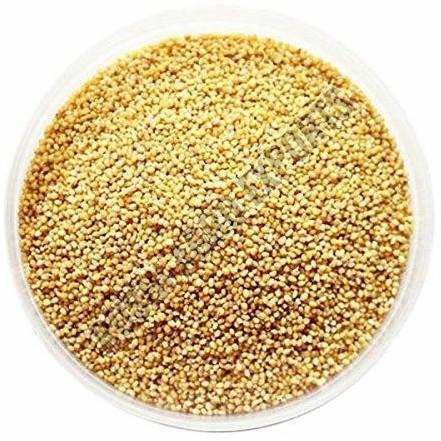 Foxtail Millet Seeds